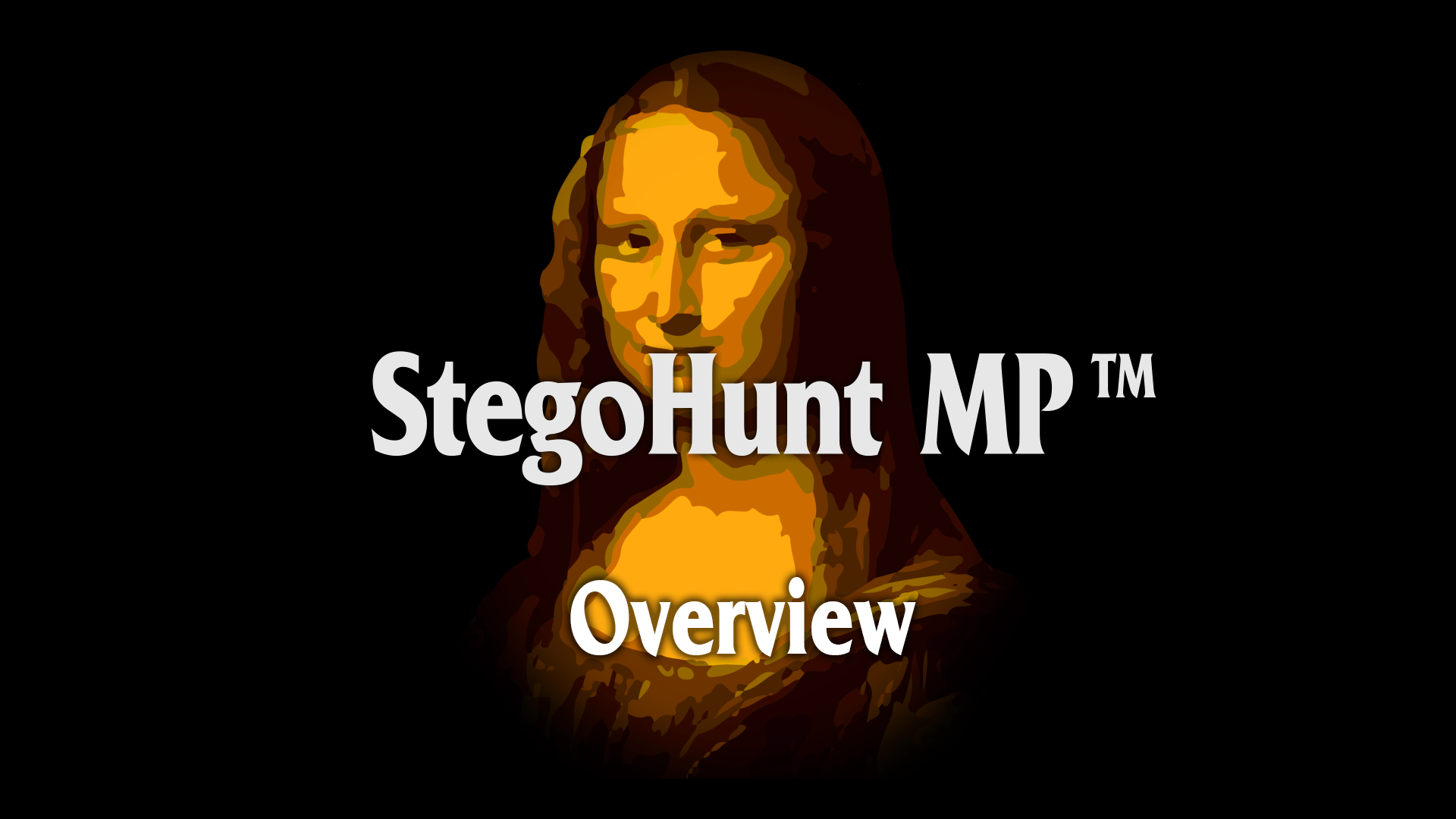 StegoHunt MP: Overview